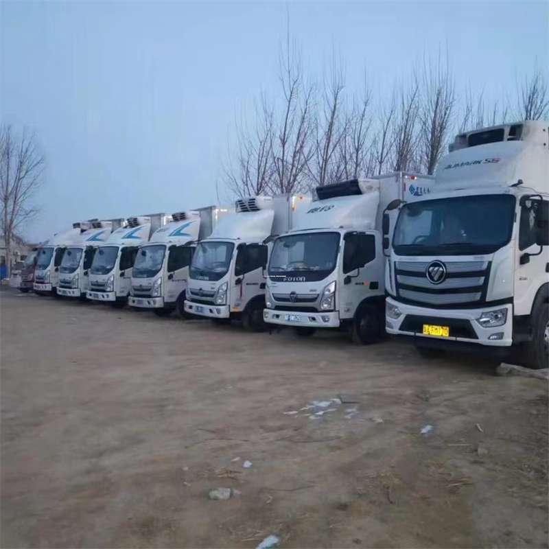 山东枣庄峄城到思茅物流公司-一站式服务（思茅物流公司电话）